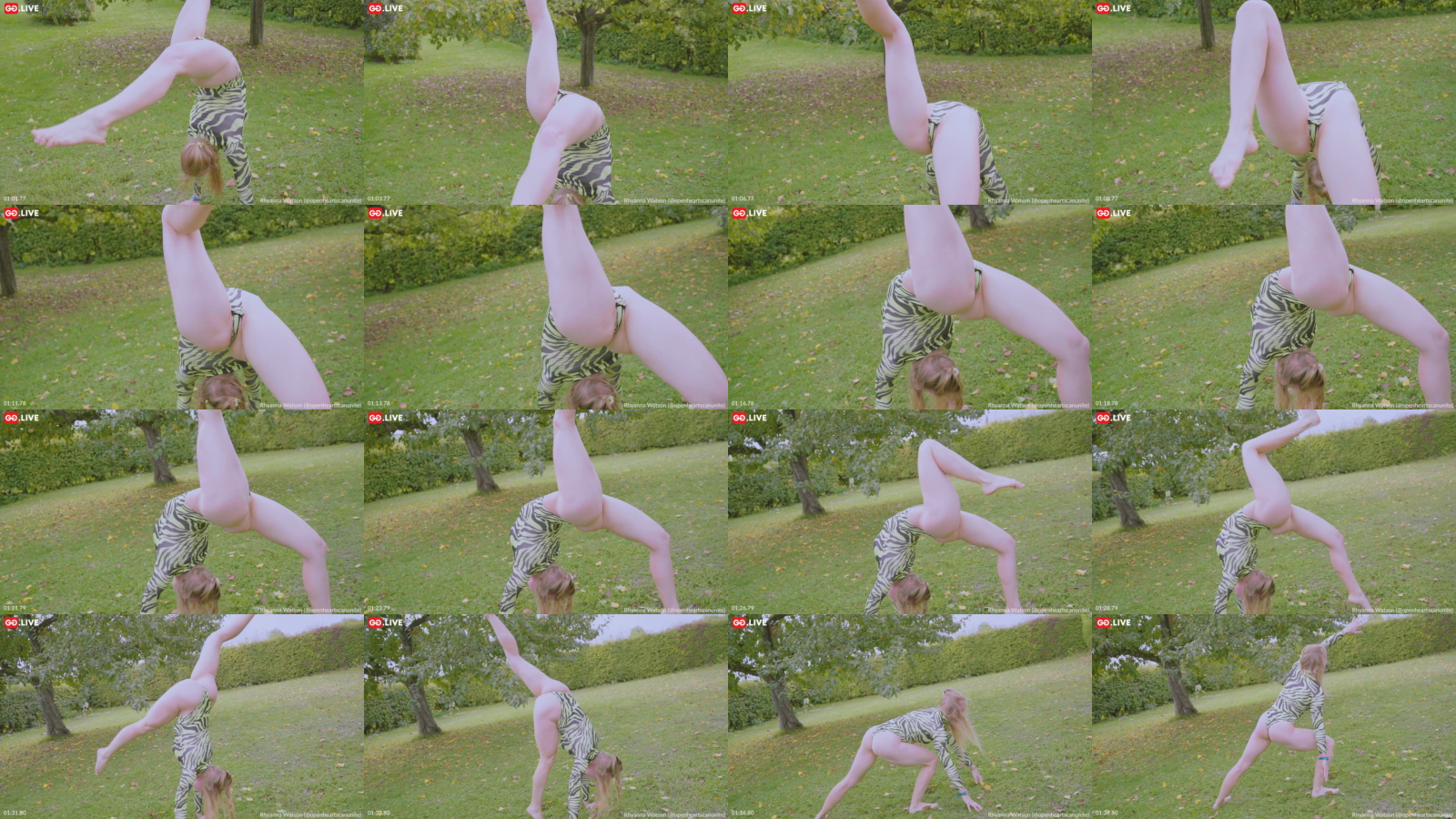 1227f748-3c14-4420-b958-01517b517e9a.mp4_grid.png