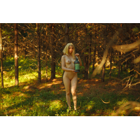 sishka14 witcher