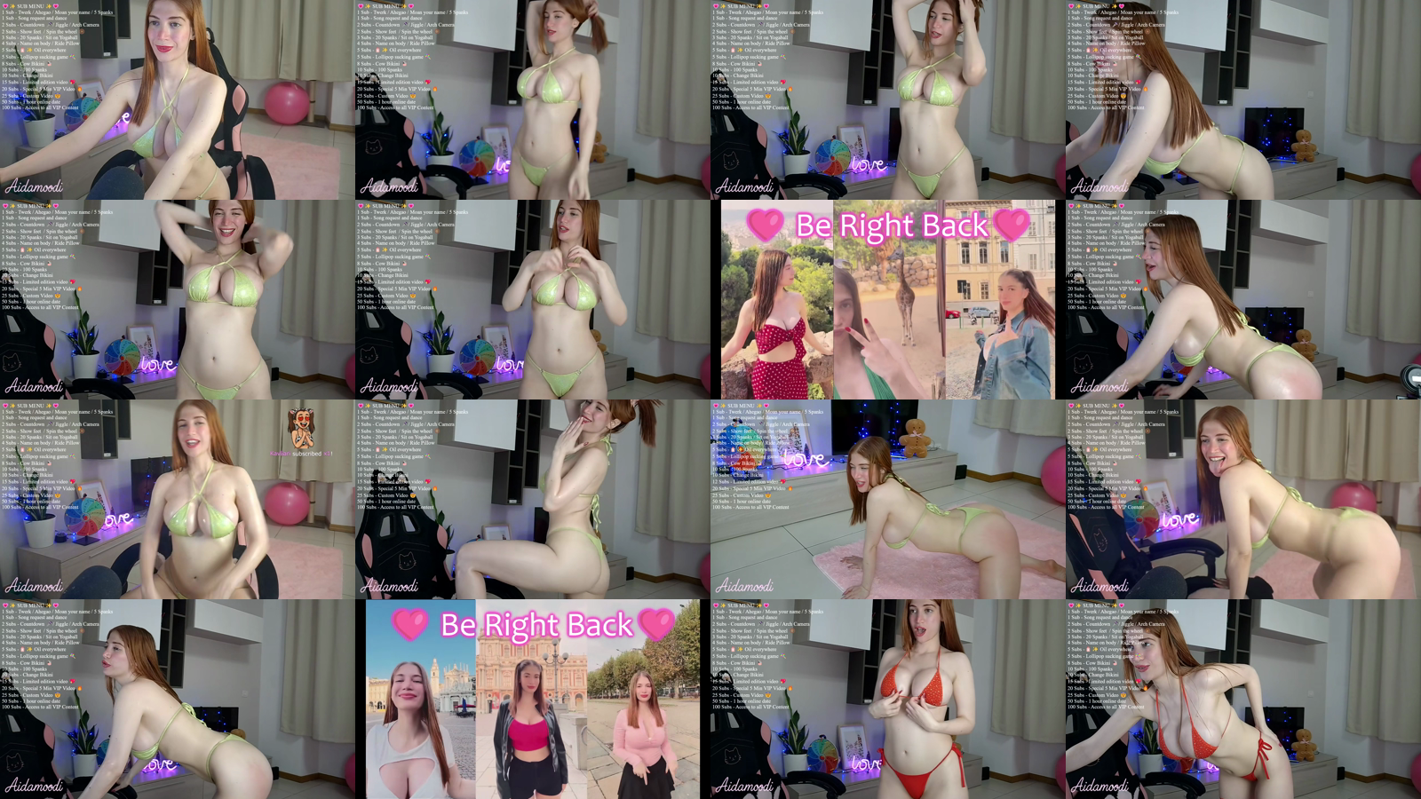 355ad7e9-574b-463e-9356-a48077cdaae6.mp4_grid.png