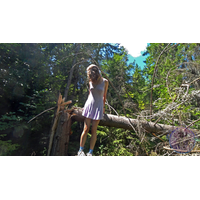 GHOB - In The Forest