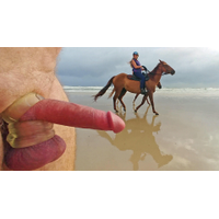 Public erection CFNM exhibitionist flasher boner dickflash on beach 08