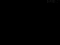 TorusDust - D.mon