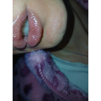 wildangellss-ellenmellen-pics