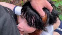 Sweetie Fox - 97532829
