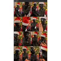 Gift For Santa