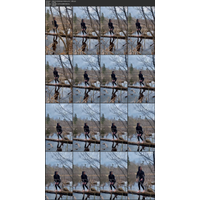 2022-04-24 Backstage $ @lady_perse - 1090.mp4.jpg
