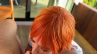 Sweetie Fox - 24339558