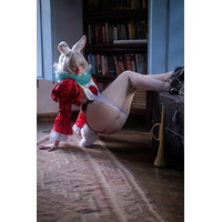 Meme Rabbit