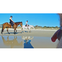 Public erection CFNM exhibitionist flasher boner dickflash on beach 03