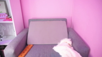 little_effy18_ 2025-04-22
