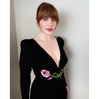 Bryce Dallas Howard