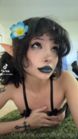 Fairy set