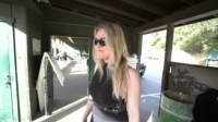 qt