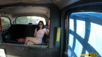 FakeTaxi
