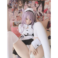 Xidaidai 12