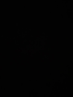 sexxysuzy