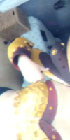 palmbee old