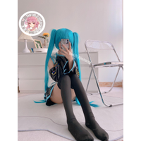 2jietang - 初音未来