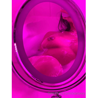 Kimmyroxana/xoroxxy