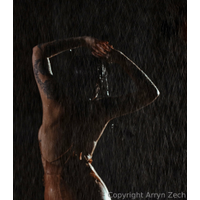 Arryn Zech Rain Room