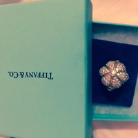 mara_traversi - 2002133935 - until 19-09-2022