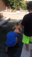@miamalkova Vids