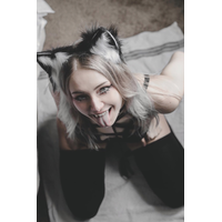 RR Kitty