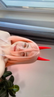 Kiko Baka Power