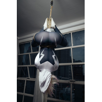 meme spider shibari