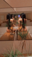 Ninfeta