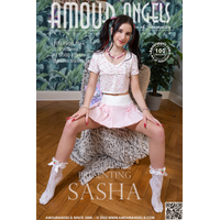 Sasha - Presenting
