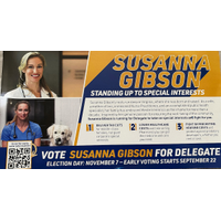 Susanna Gibson -Virginia Democratic party house candidate and camwhore