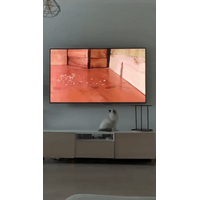 고양이 실패단