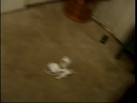 Stephanie/Sabrina vids