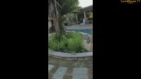 Misc Videos