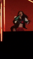 Jennie Clips Bornpink