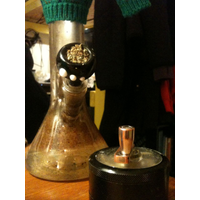 CoralReefer420