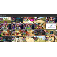 ari - v - contact sheets