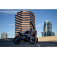 anna-curvy-thegorillagrip Photos - SImpCity FF