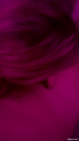 xlaura412 clips
