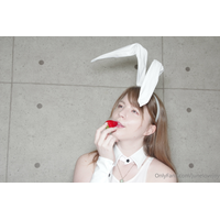 bunny2