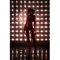Shirogane-sama Ann Takamaki Classic Set