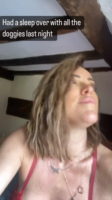 Laineybopster