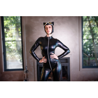 Scarlet Chase - Purring Pussy 60 Pics