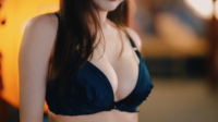 酒醉的蝴蝶