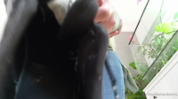 EFS-VID