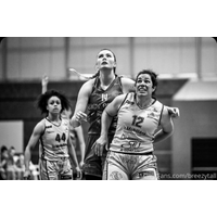 breezytall_images
