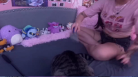 Clips of wasabiicat