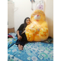 Post 201_