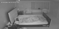 IP Cams